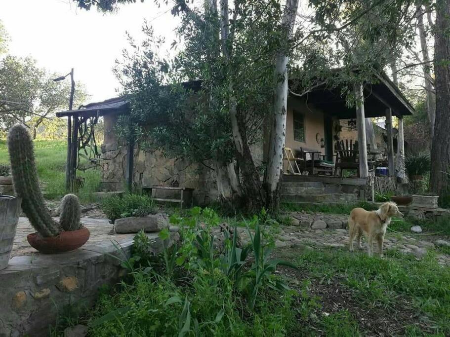 Rancho Callado - Cucapa Cabin Villa Tijuana Exterior photo